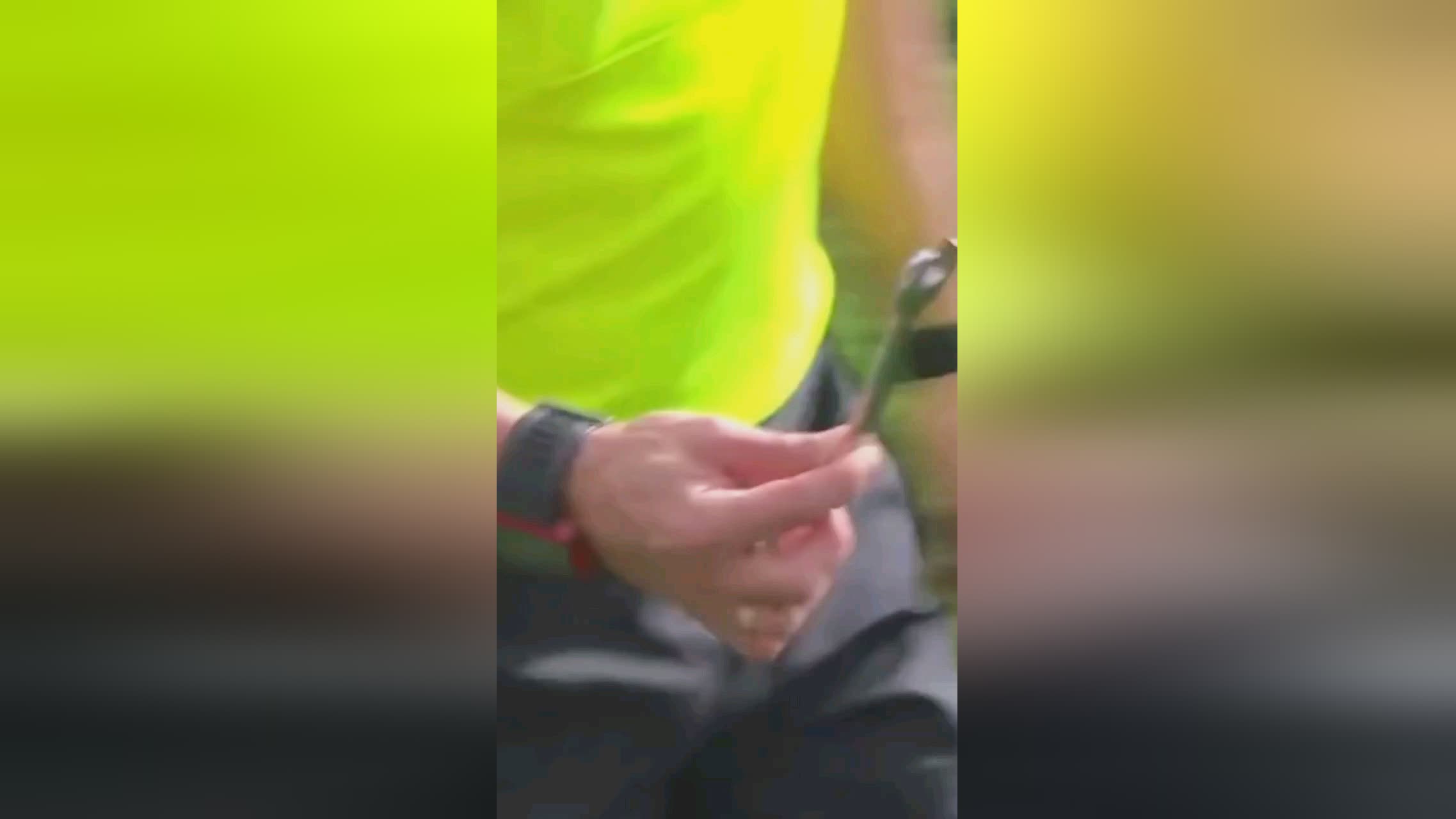 清晰而顺